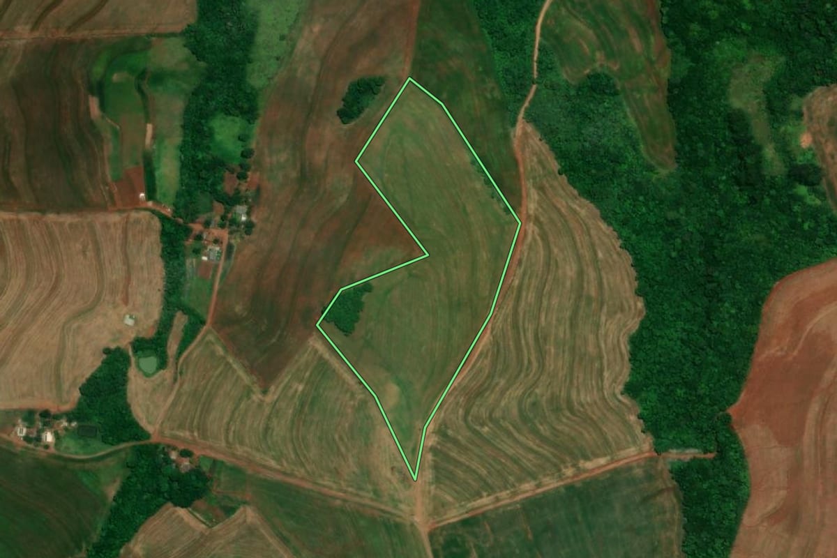 Imagem de satélite do imóvel rural em Realeza (PR), com o contorno declarado no CAR desenhado por cima.