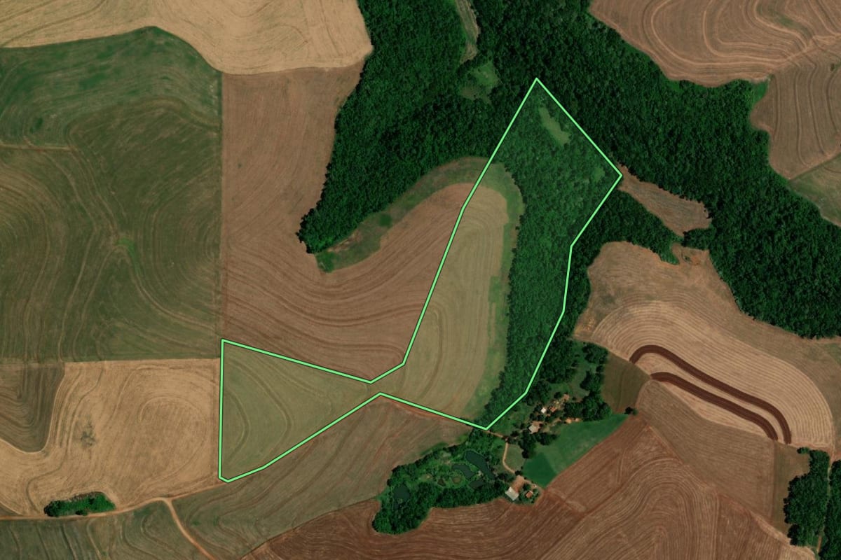 Imagem de satélite do imóvel rural em Realeza (PR), com o contorno declarado no CAR desenhado por cima.