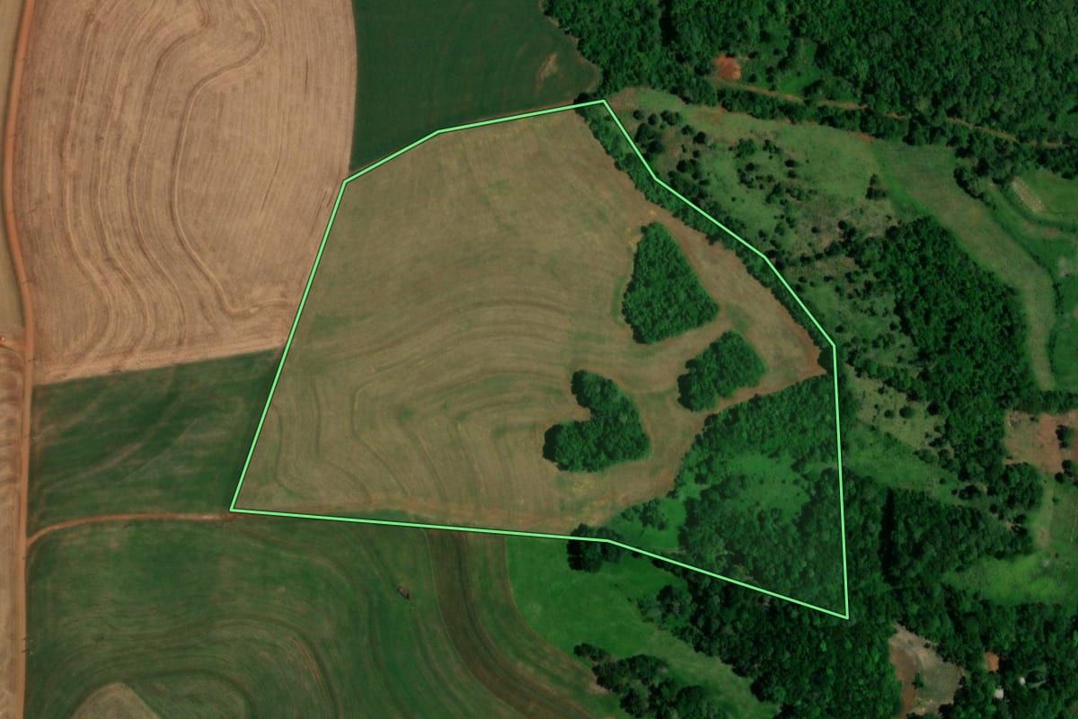 Imagem de satélite do imóvel rural em Realeza (PR), com o contorno declarado no CAR desenhado por cima.
