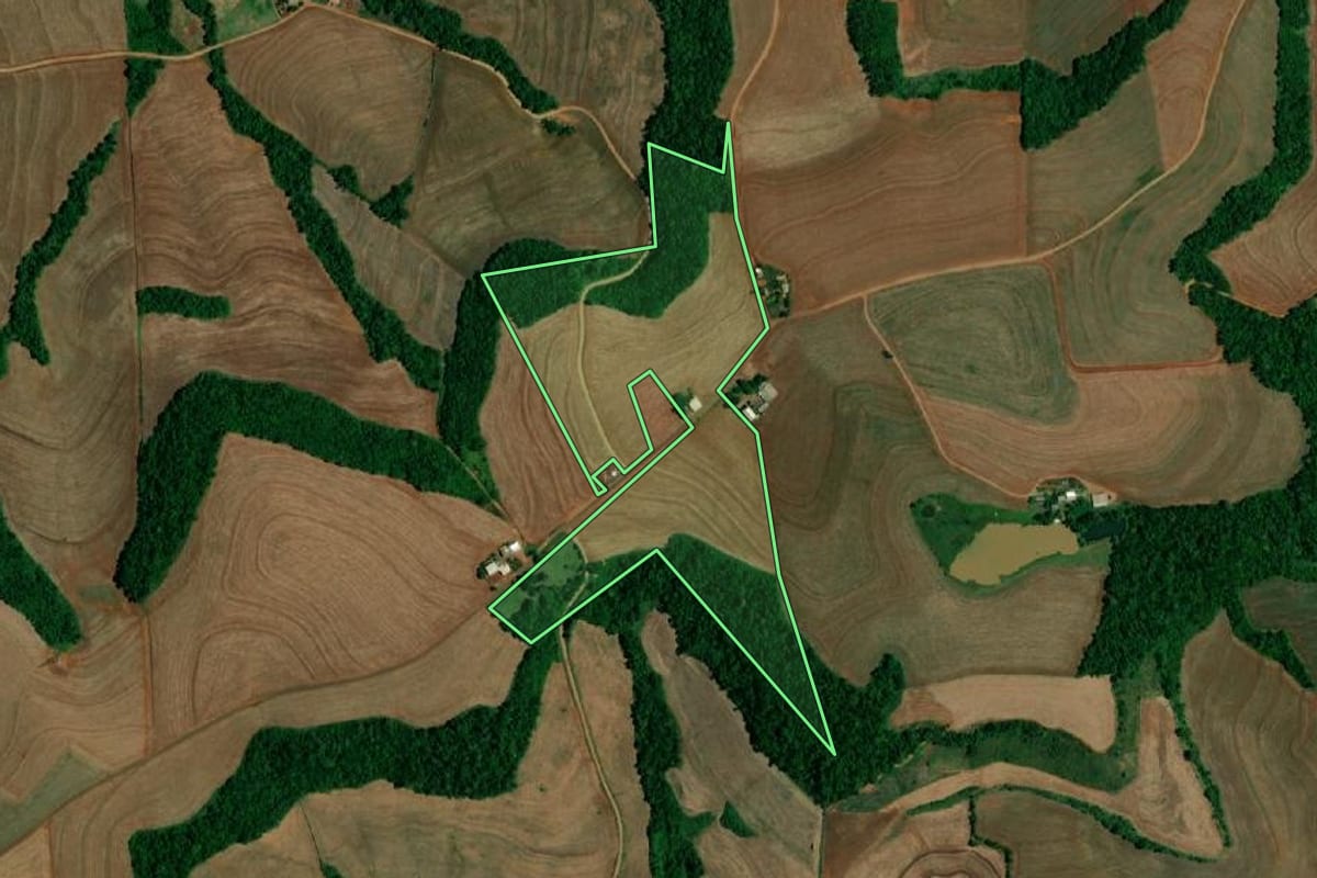 Imagem de satélite do imóvel rural em Realeza (PR), com o contorno declarado no CAR desenhado por cima.