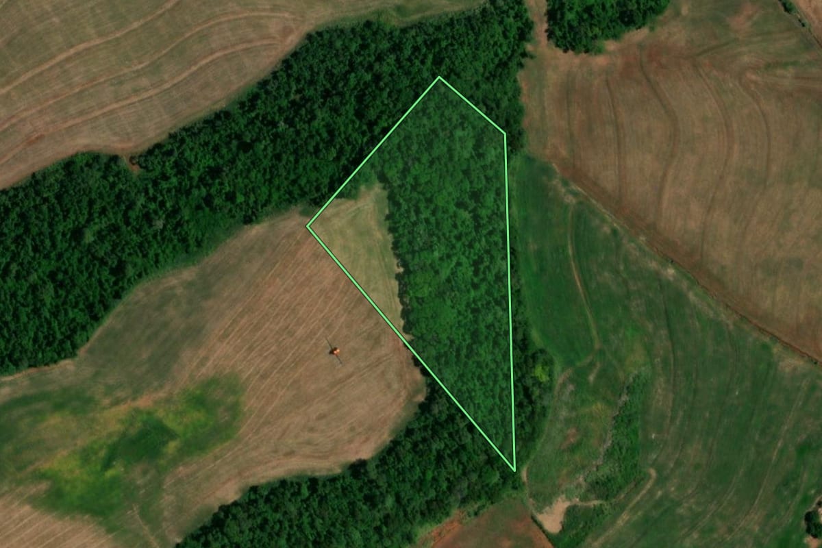Imagem de satélite do imóvel rural em Realeza (PR), com o contorno declarado no CAR desenhado por cima.