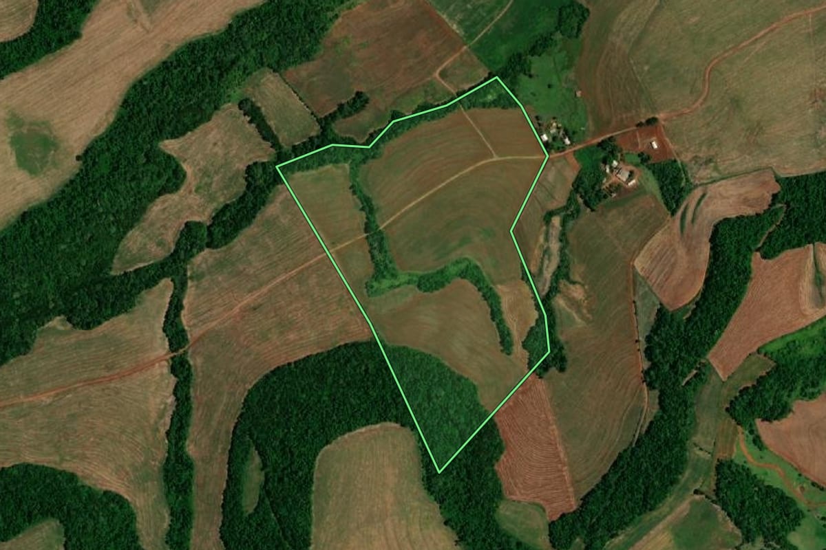 Imagem de satélite do imóvel rural em Realeza (PR), com o contorno declarado no CAR desenhado por cima.