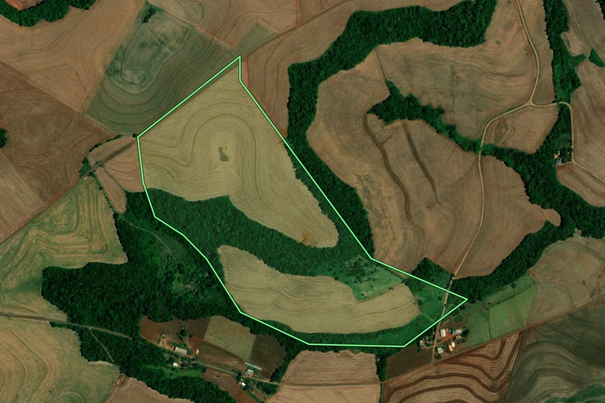 Imagem de satélite do imóvel rural em Realeza (PR), com o contorno declarado no CAR desenhado por cima.
