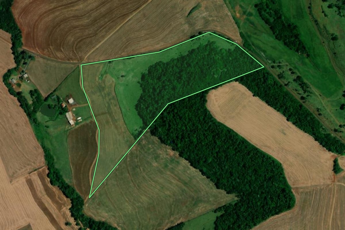 Imagem de satélite do imóvel rural em Realeza (PR), com o contorno declarado no CAR desenhado por cima.