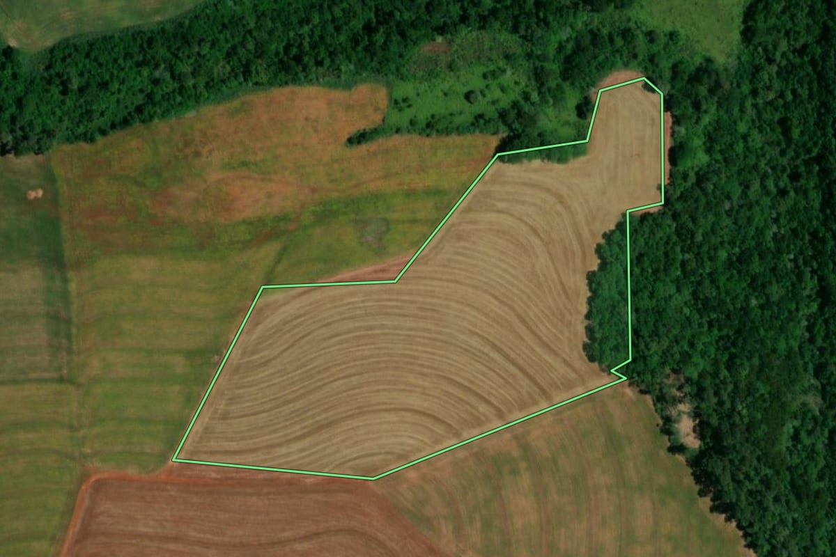 Imagem de satélite do imóvel rural em Realeza (PR), com o contorno declarado no CAR desenhado por cima.