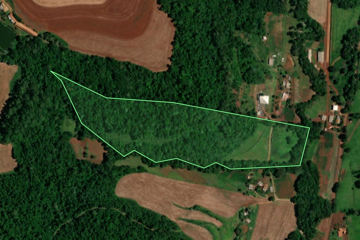 Imagem de satélite do imóvel rural em Realeza (PR), com o contorno declarado no CAR desenhado por cima.