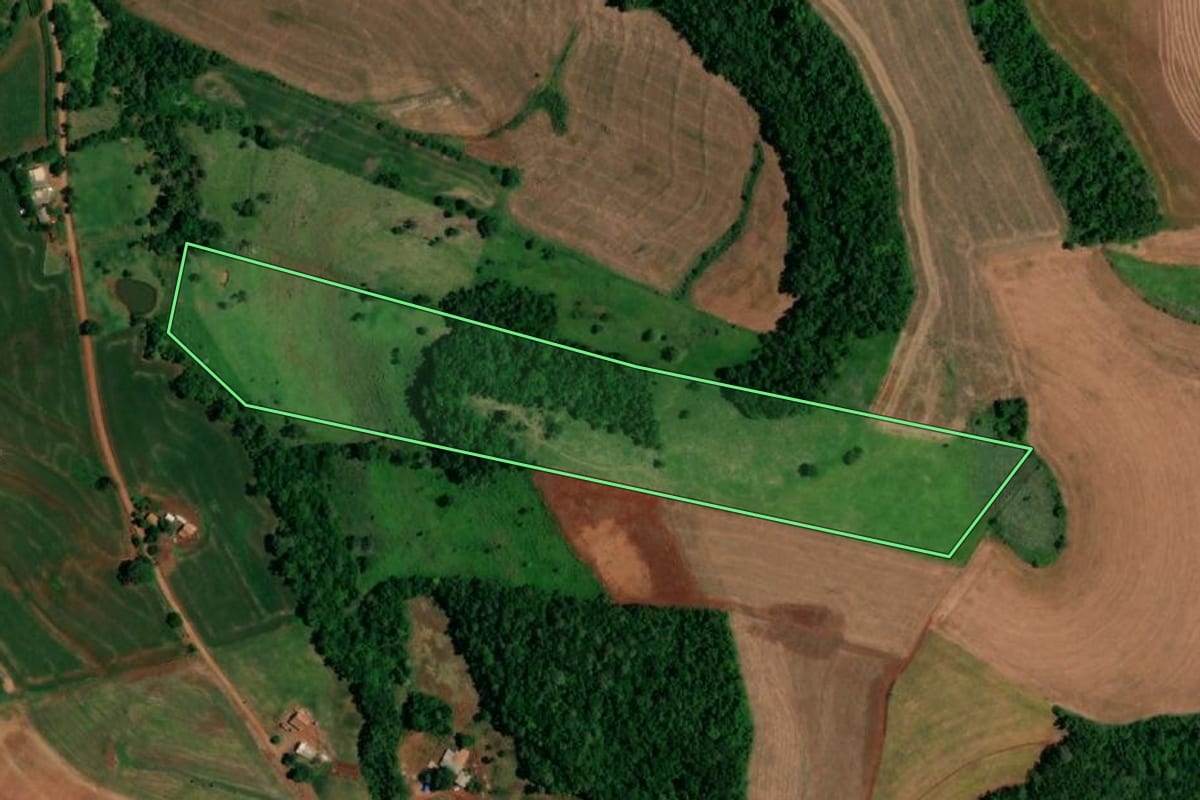 Imagem de satélite do imóvel rural em Realeza (PR), com o contorno declarado no CAR desenhado por cima.