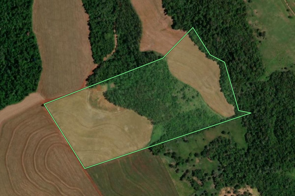 Imagem de satélite do imóvel rural em Realeza (PR), com o contorno declarado no CAR desenhado por cima.