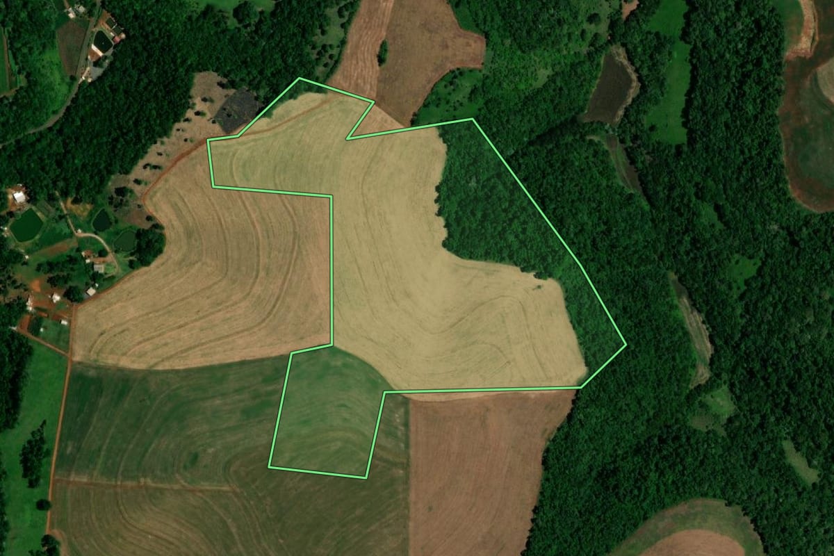 Imagem de satélite do imóvel rural em Realeza (PR), com o contorno declarado no CAR desenhado por cima.