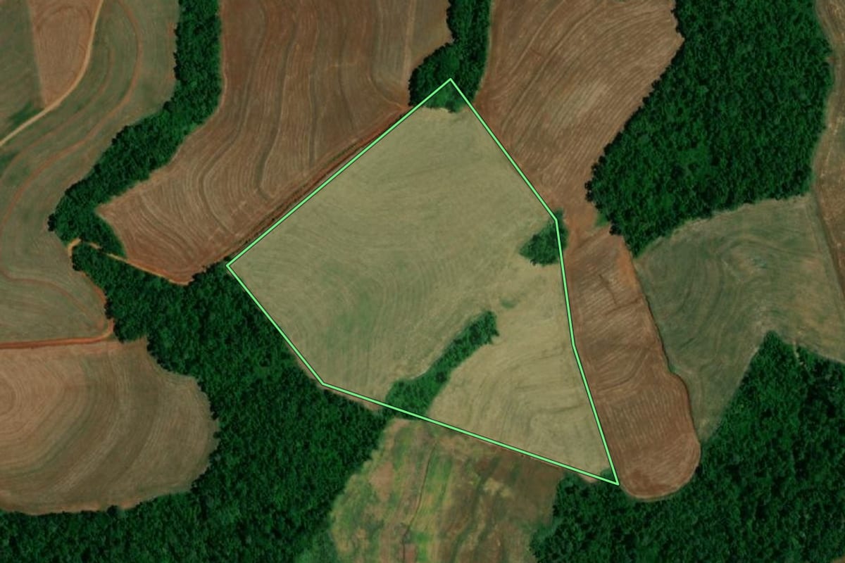 Imagem de satélite do imóvel rural em Realeza (PR), com o contorno declarado no CAR desenhado por cima.