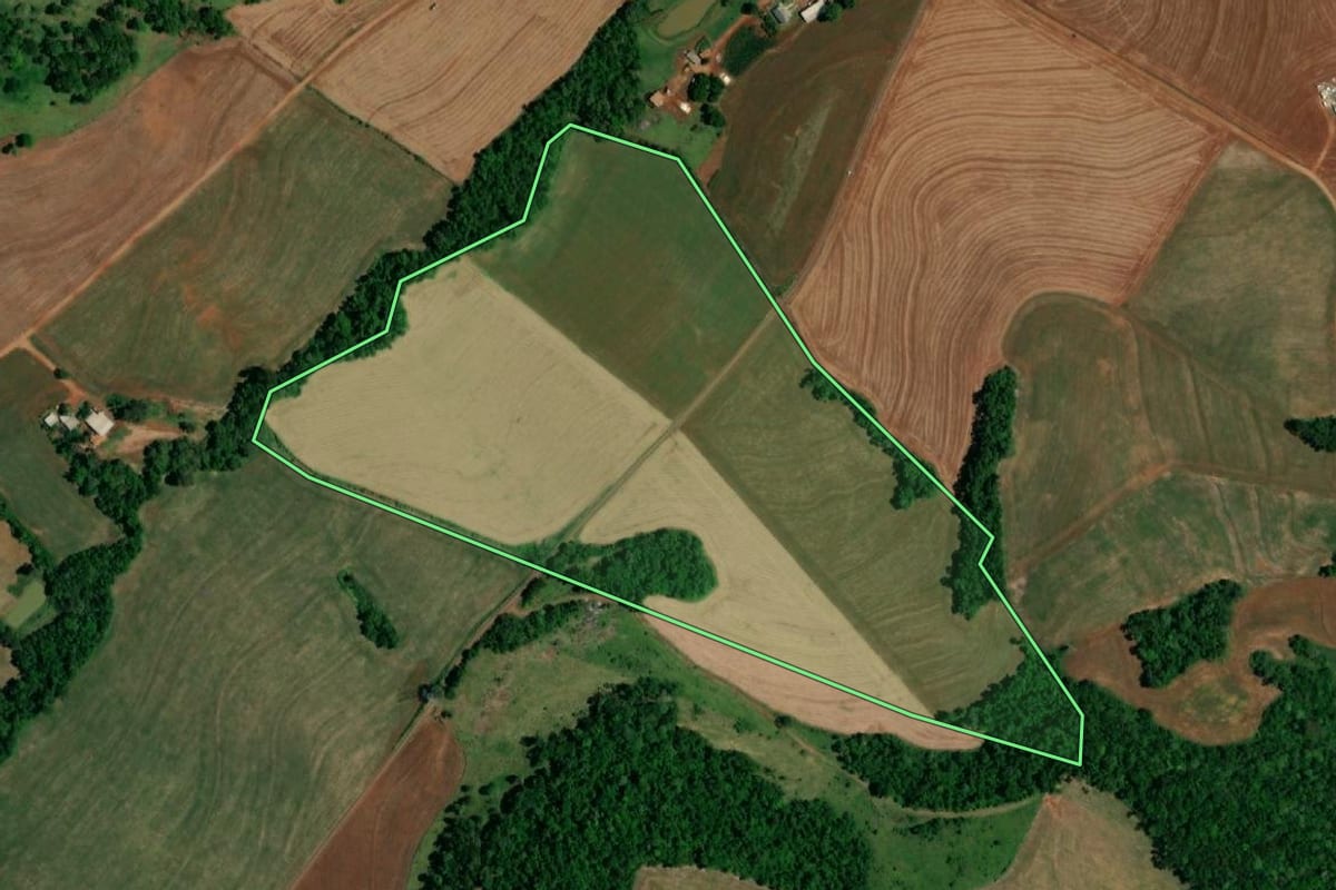 Imagem de satélite do imóvel rural em Realeza (PR), com o contorno declarado no CAR desenhado por cima.