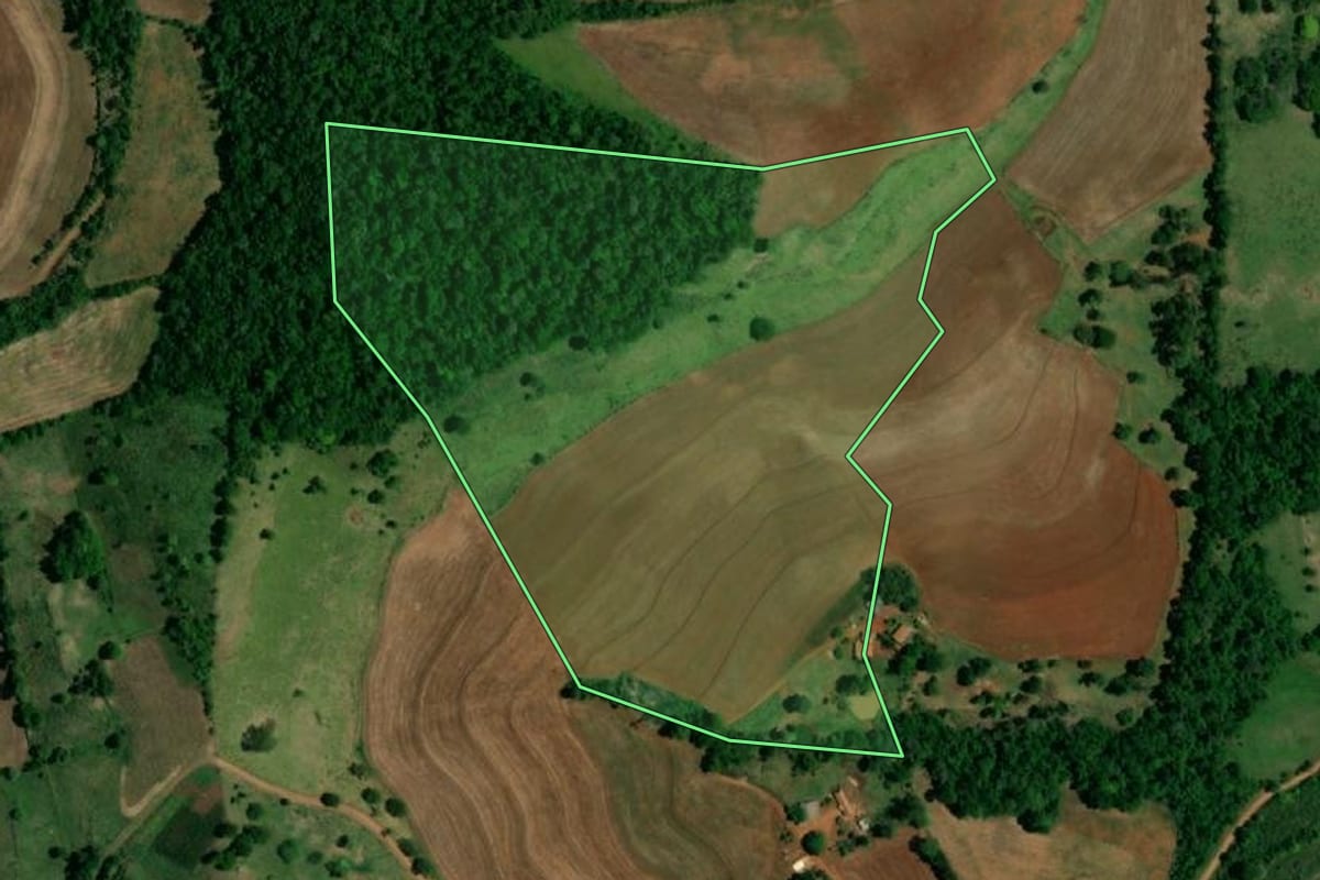 Imagem de satélite do imóvel rural em Realeza (PR), com o contorno declarado no CAR desenhado por cima.