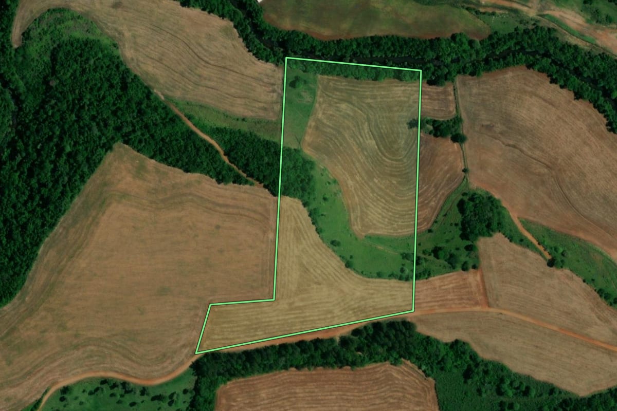 Imagem de satélite do imóvel rural em Realeza (PR), com o contorno declarado no CAR desenhado por cima.