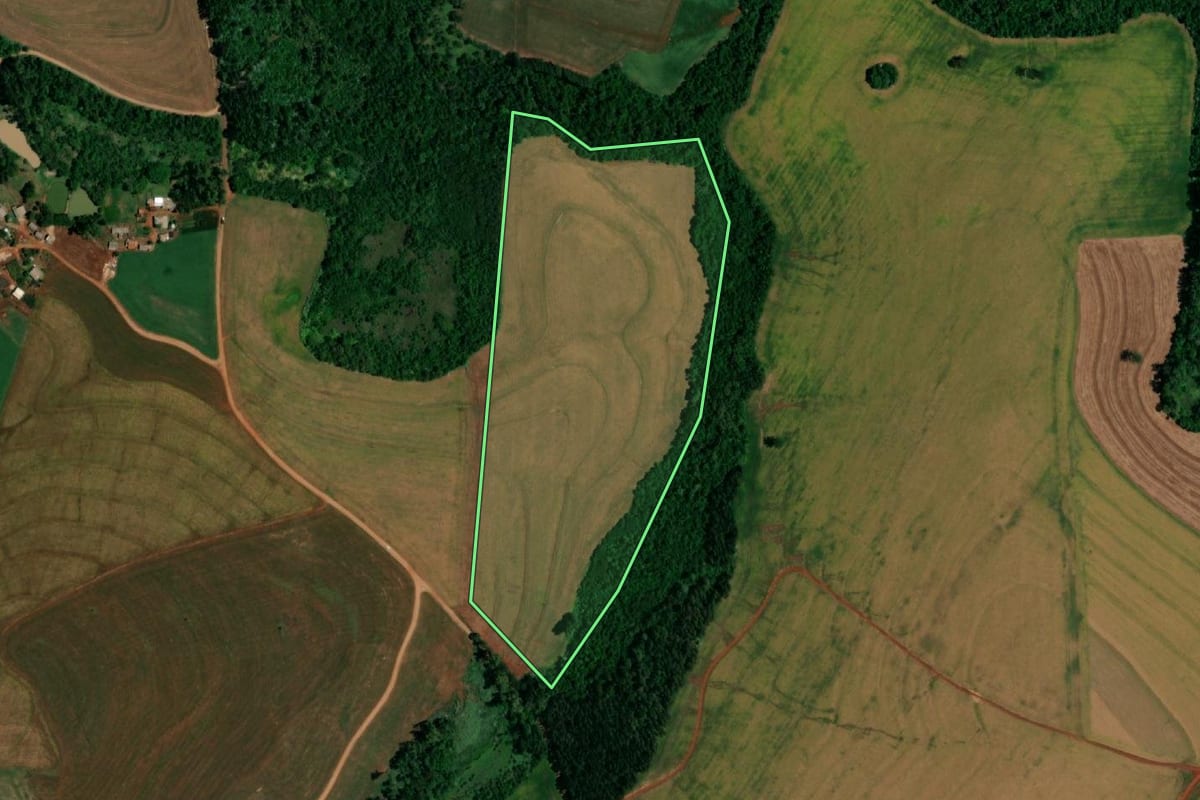 Imagem de satélite do imóvel rural em Realeza (PR), com o contorno declarado no CAR desenhado por cima.