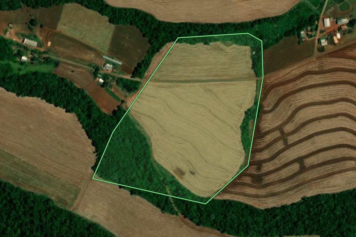 Imagem de satélite do imóvel rural em Realeza (PR), com o contorno declarado no CAR desenhado por cima.