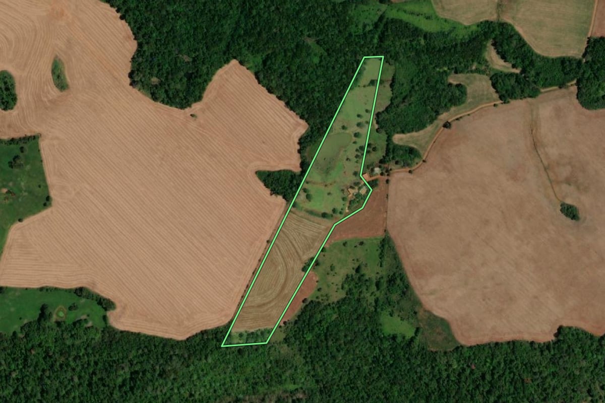 Imagem de satélite do imóvel rural em Realeza (PR), com o contorno declarado no CAR desenhado por cima.