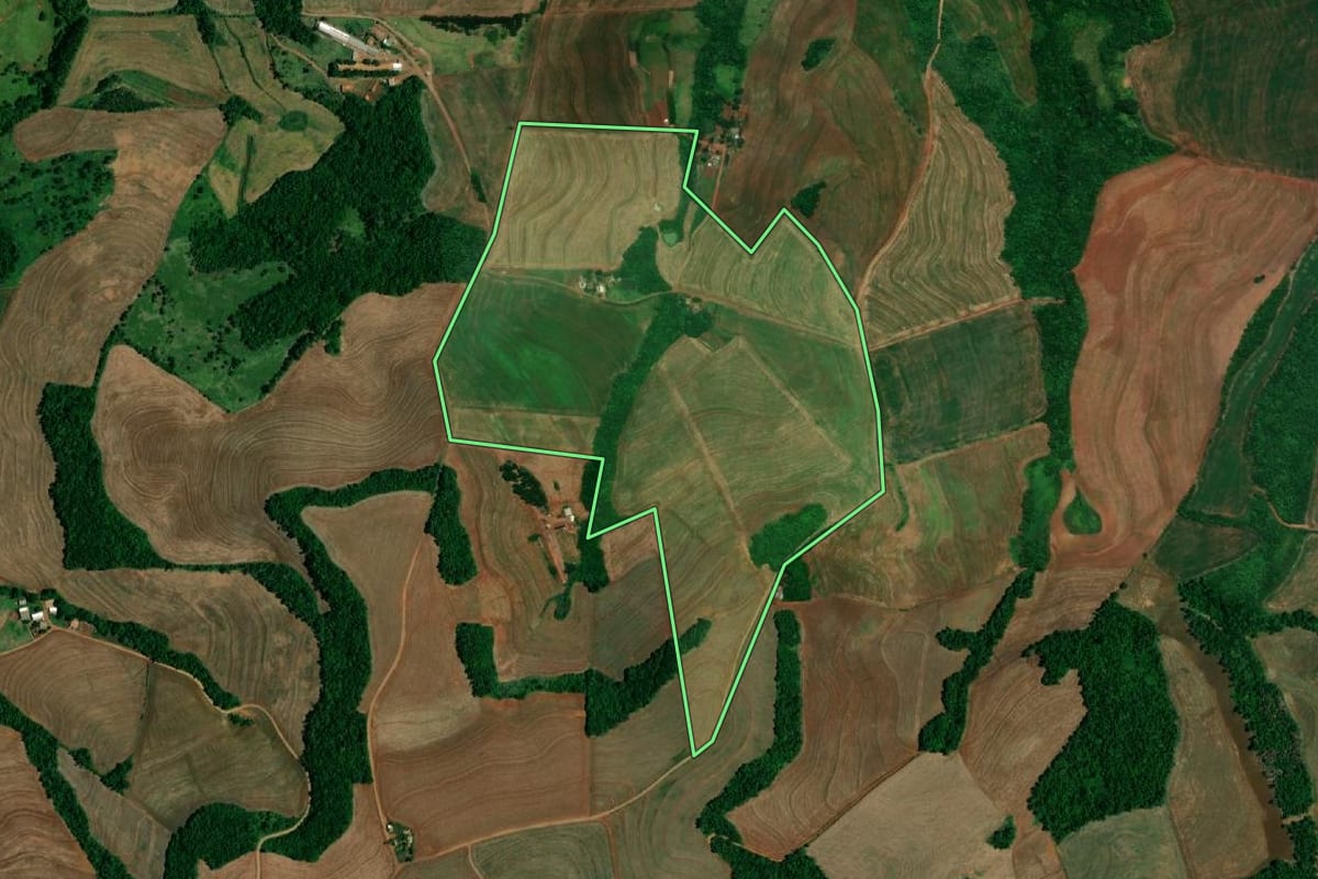 Imagem de satélite do imóvel rural em Realeza (PR), com o contorno declarado no CAR desenhado por cima.