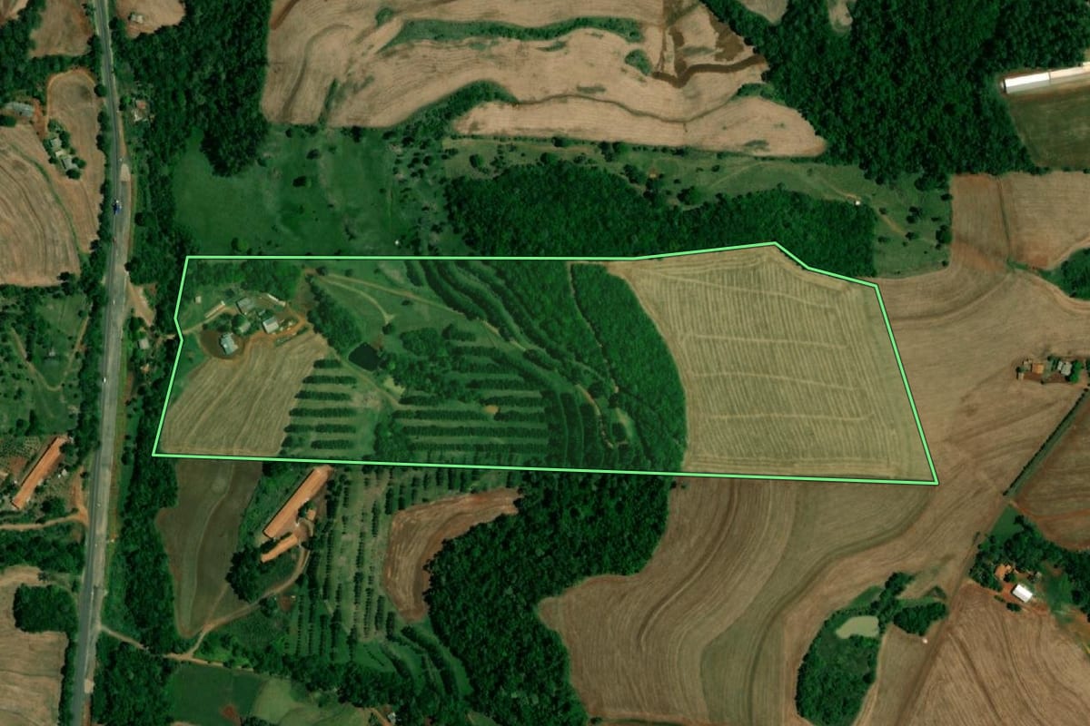 Imagem de satélite do imóvel rural em Realeza (PR), com o contorno declarado no CAR desenhado por cima.