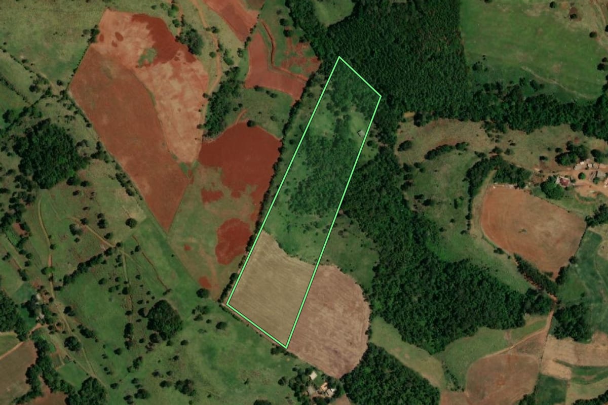 Imagem de satélite do imóvel rural em Realeza (PR), com o contorno declarado no CAR desenhado por cima.