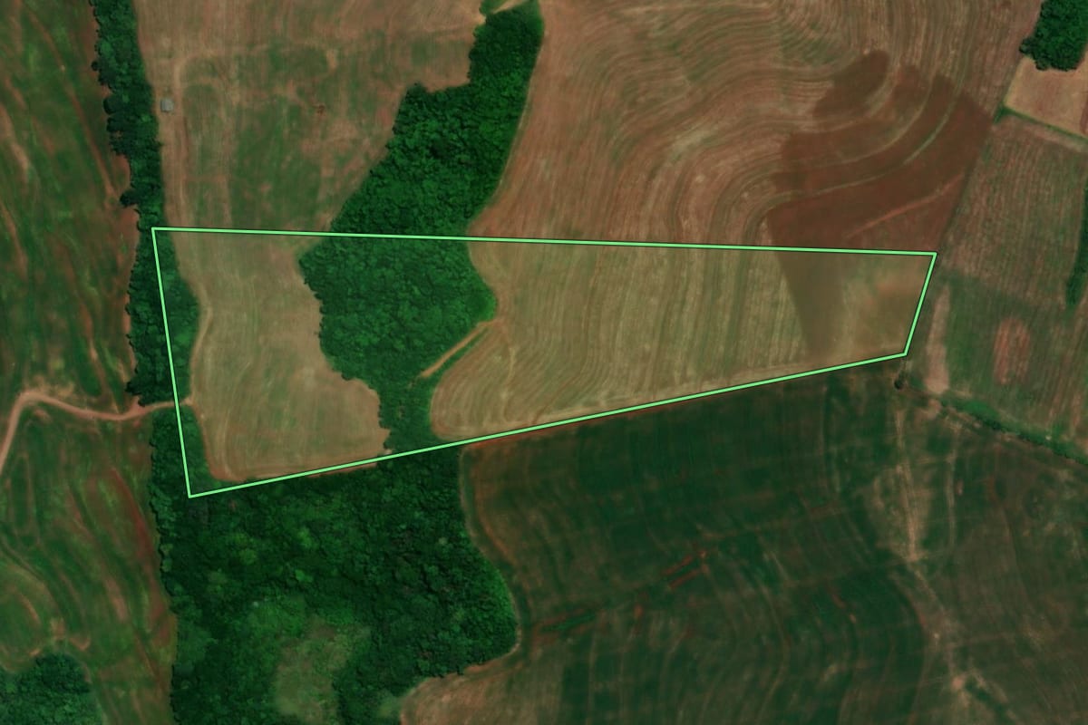 Imagem de satélite do imóvel rural em Realeza (PR), com o contorno declarado no CAR desenhado por cima.