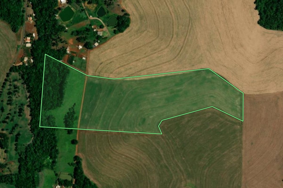 Imagem de satélite do imóvel rural em Realeza (PR), com o contorno declarado no CAR desenhado por cima.