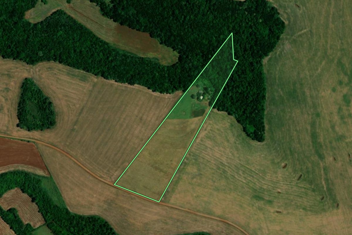 Imagem de satélite do imóvel rural em Realeza (PR), com o contorno declarado no CAR desenhado por cima.