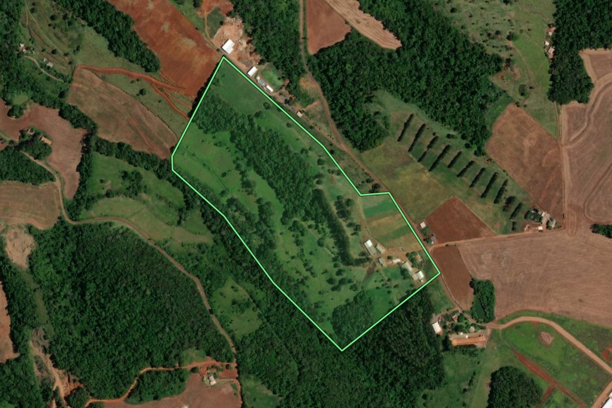 Imagem de satélite do imóvel rural em Realeza (PR), com o contorno declarado no CAR desenhado por cima.