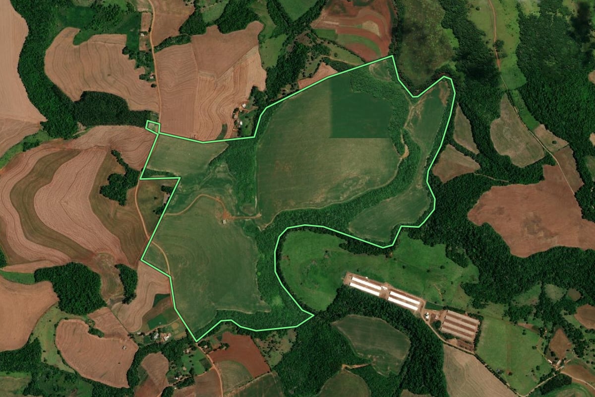 Imagem de satélite do imóvel rural em Realeza (PR), com o contorno declarado no CAR desenhado por cima.