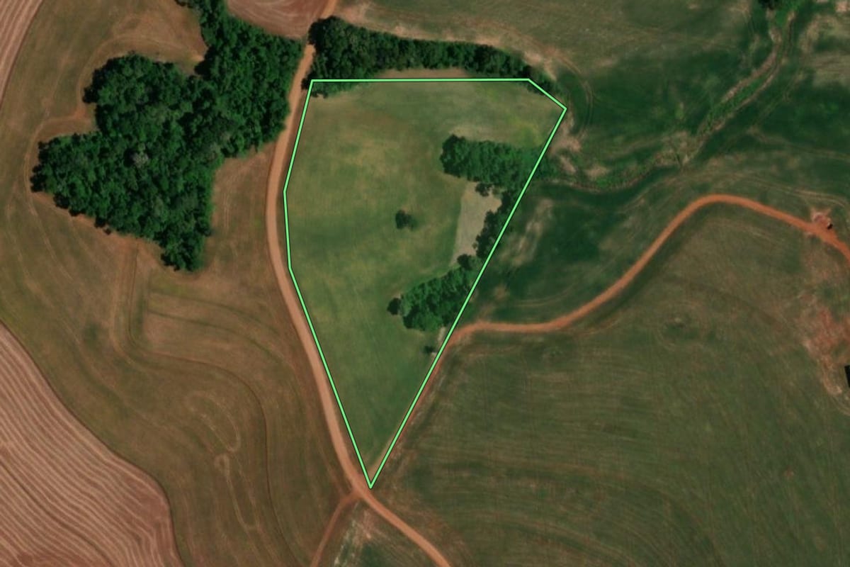 Imagem de satélite do imóvel rural em Realeza (PR), com o contorno declarado no CAR desenhado por cima.