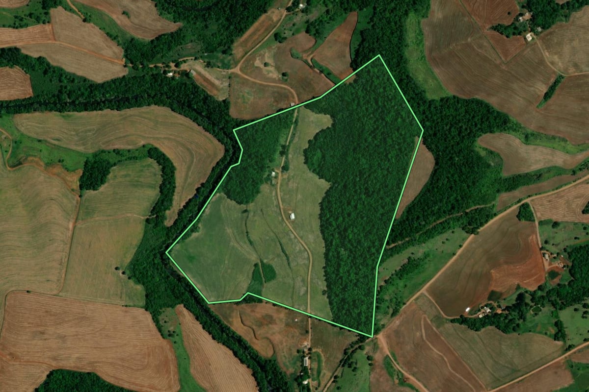 Imagem de satélite do imóvel rural em Realeza (PR), com o contorno declarado no CAR desenhado por cima.