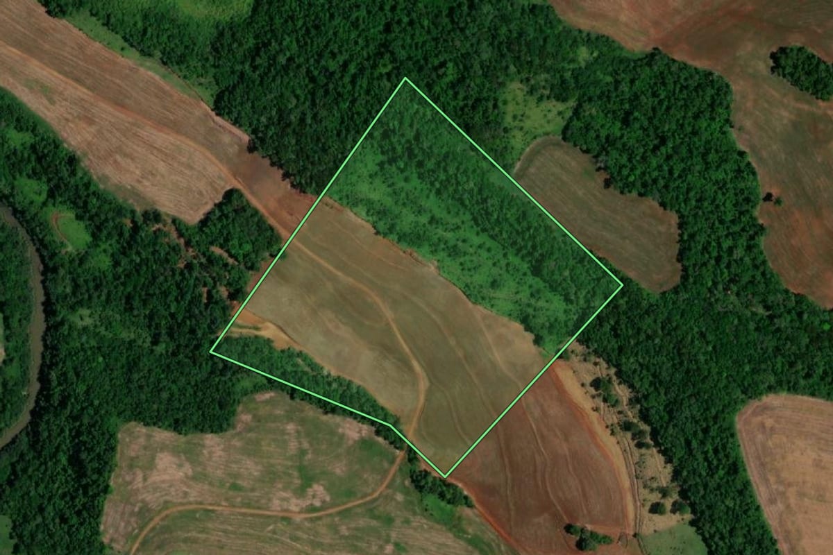 Imagem de satélite do imóvel rural em Realeza (PR), com o contorno declarado no CAR desenhado por cima.