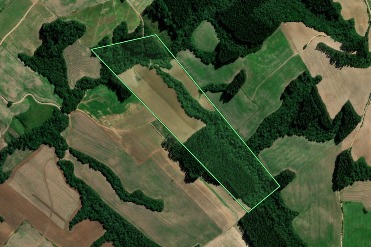 Imagem de satélite do imóvel rural em Rebouças (PR), com o contorno declarado no CAR desenhado por cima.