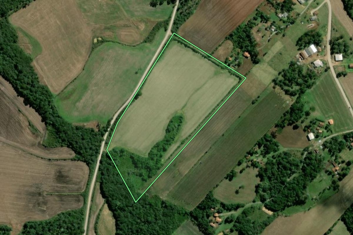 Imagem de satélite do imóvel rural em Rebouças (PR), com o contorno declarado no CAR desenhado por cima.