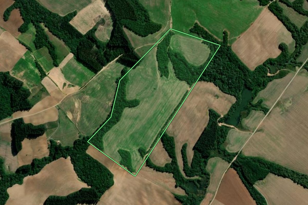 Imagem de satélite do imóvel rural em Rebouças (PR), com o contorno declarado no CAR desenhado por cima.