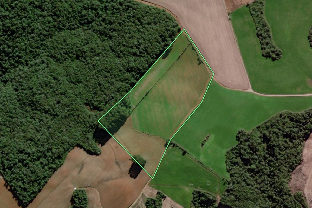 Imagem de satélite do imóvel rural em Rebouças (PR), com o contorno declarado no CAR desenhado por cima.