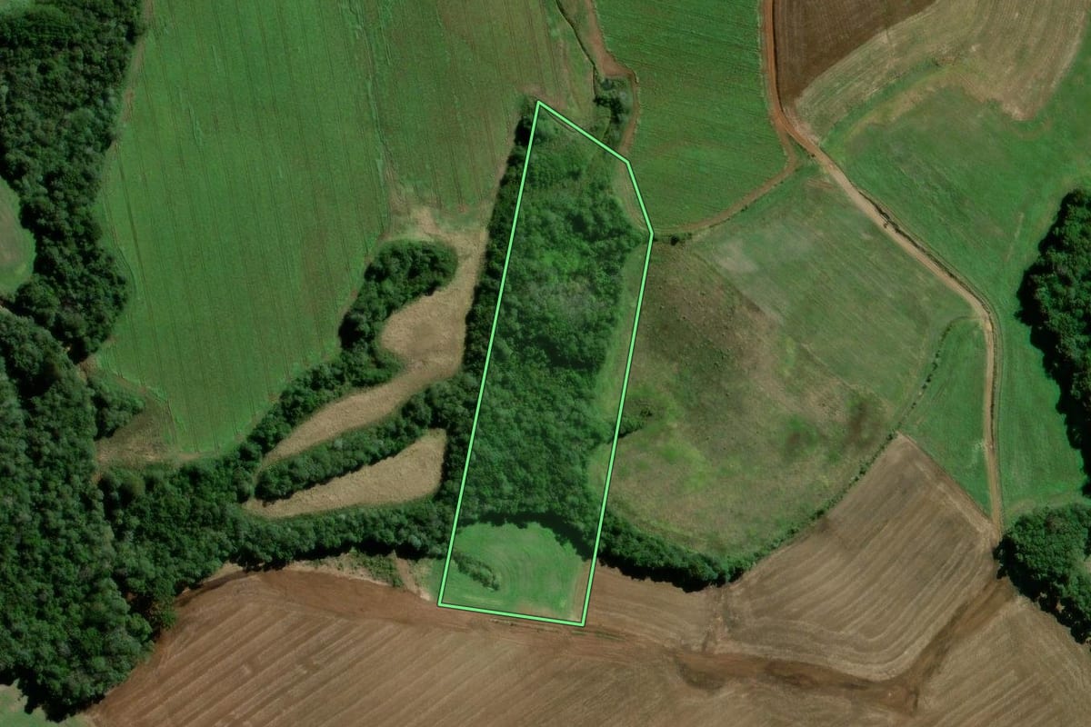Imagem de satélite do imóvel rural em Rebouças (PR), com o contorno declarado no CAR desenhado por cima.