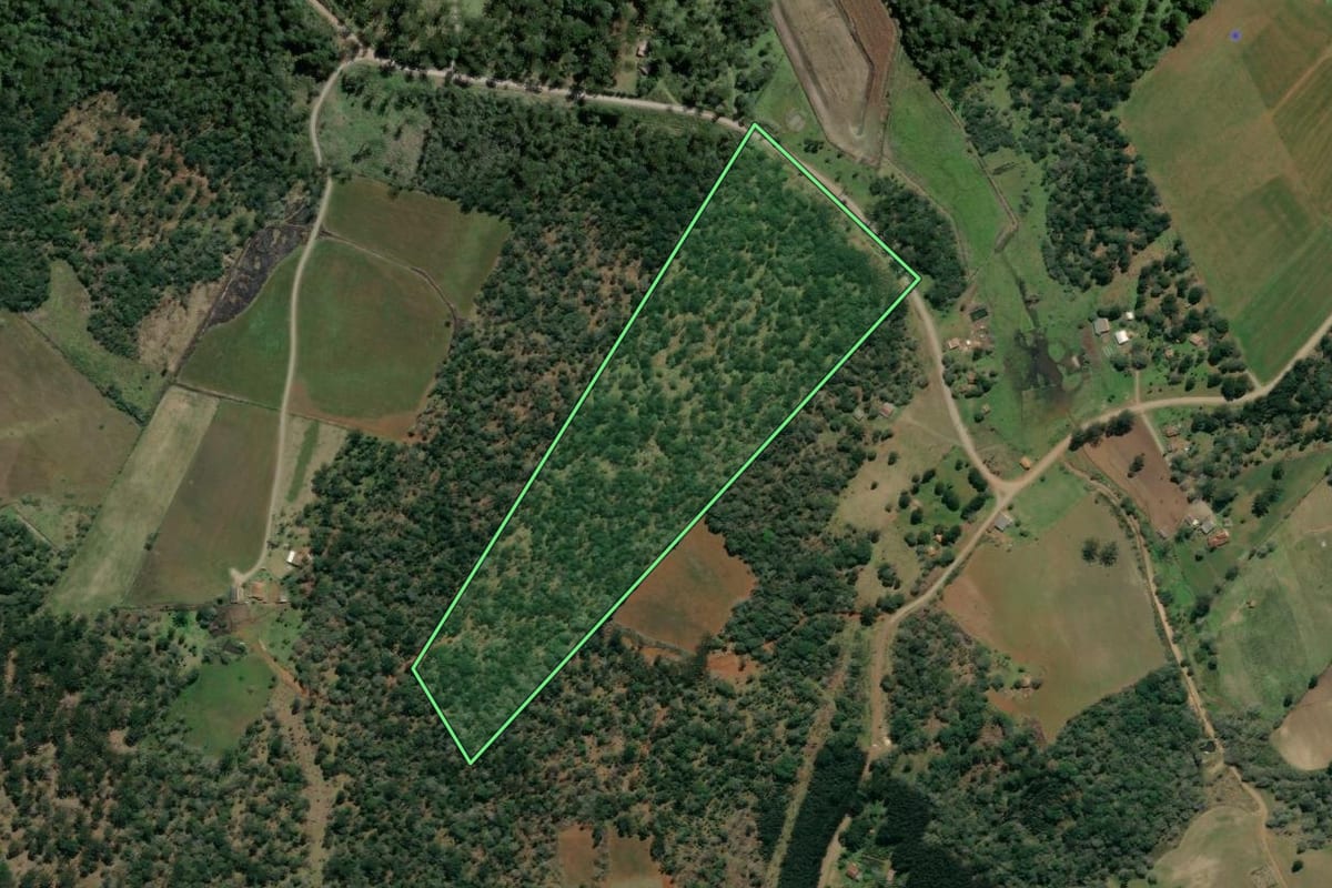 Imagem de satélite do imóvel rural em Rebouças (PR), com o contorno declarado no CAR desenhado por cima.