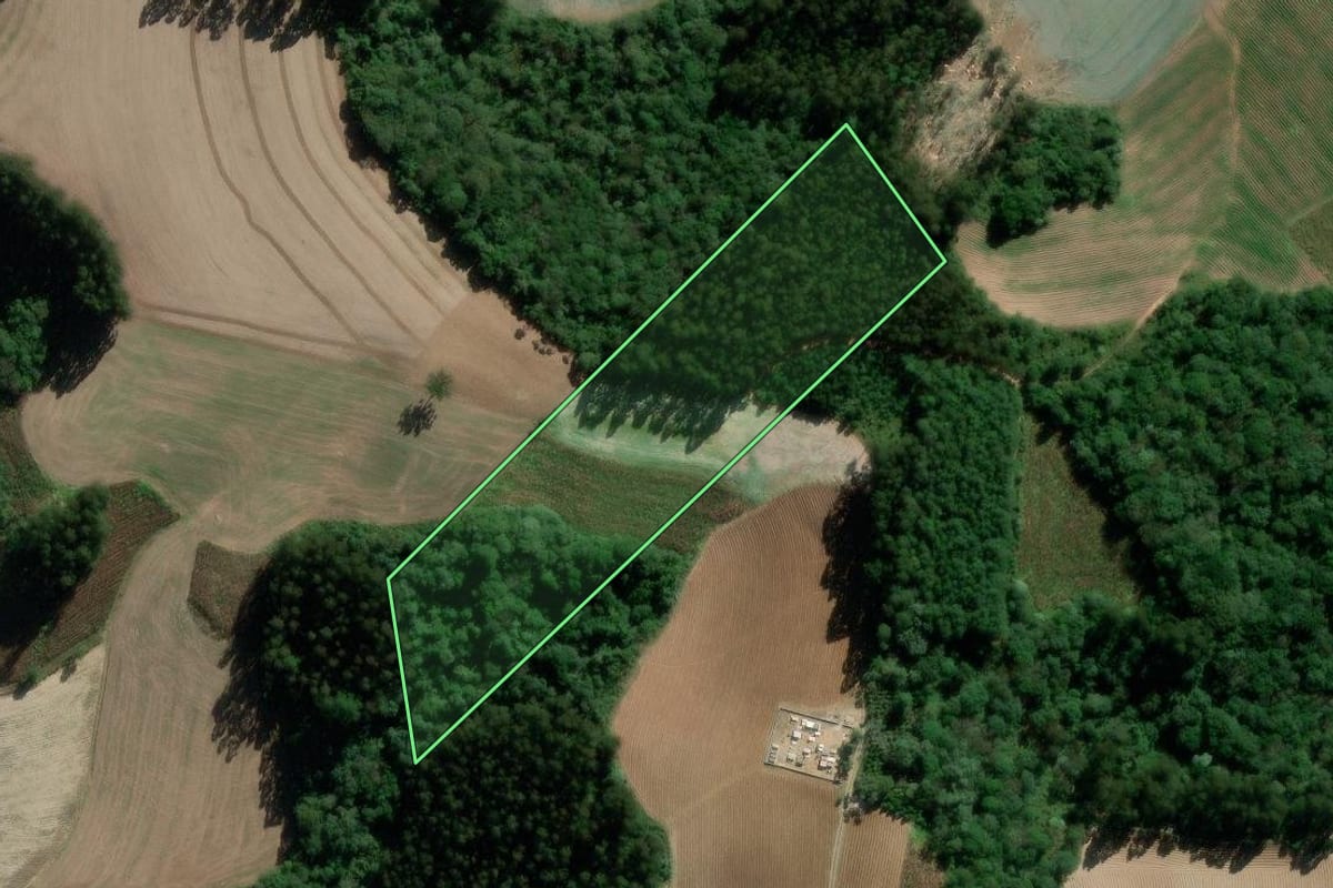 Imagem de satélite do imóvel rural em Rebouças (PR), com o contorno declarado no CAR desenhado por cima.