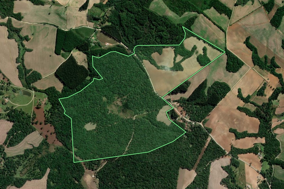 Imagem de satélite do imóvel rural em Rebouças (PR), com o contorno declarado no CAR desenhado por cima.