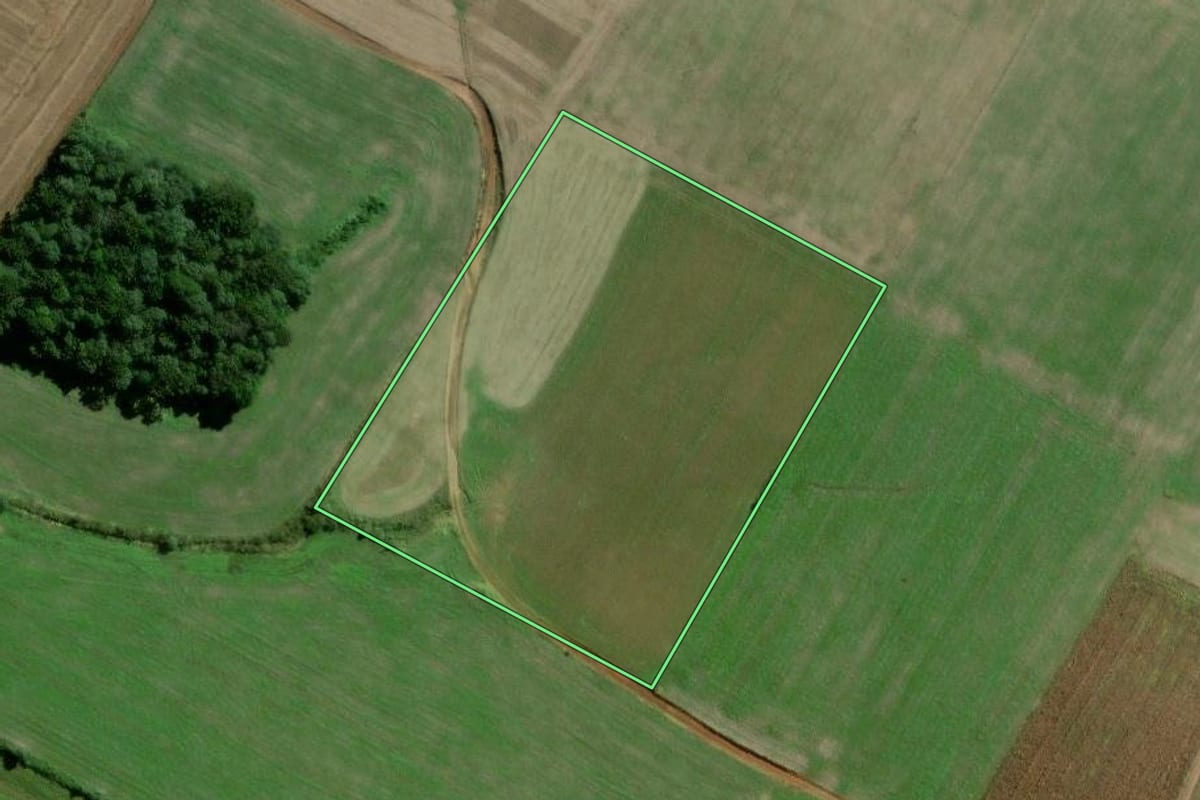 Imagem de satélite do imóvel rural em Rebouças (PR), com o contorno declarado no CAR desenhado por cima.