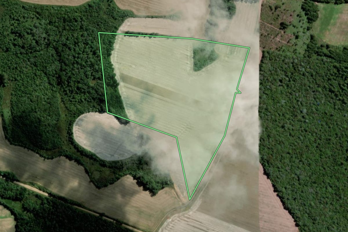 Imagem de satélite do imóvel rural em Rebouças (PR), com o contorno declarado no CAR desenhado por cima.