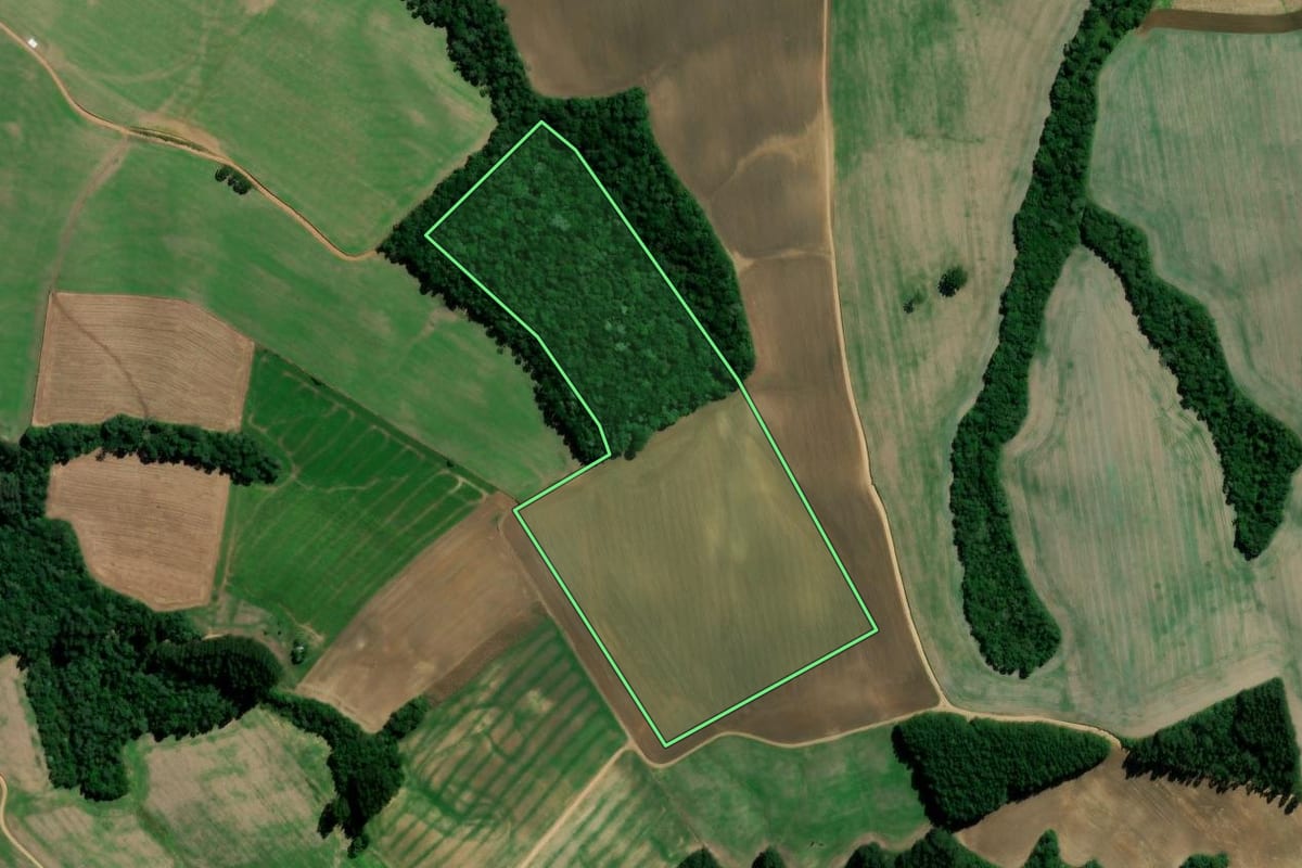 Imagem de satélite do imóvel rural em Rebouças (PR), com o contorno declarado no CAR desenhado por cima.