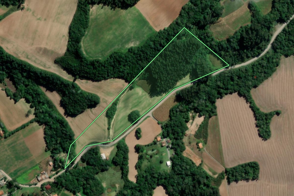 Imagem de satélite do imóvel rural em Rebouças (PR), com o contorno declarado no CAR desenhado por cima.