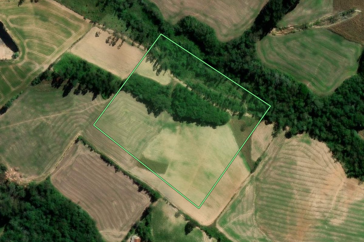 Imagem de satélite do imóvel rural em Rebouças (PR), com o contorno declarado no CAR desenhado por cima.