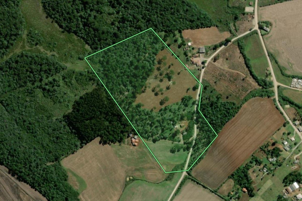Imagem de satélite do imóvel rural em Rebouças (PR), com o contorno declarado no CAR desenhado por cima.