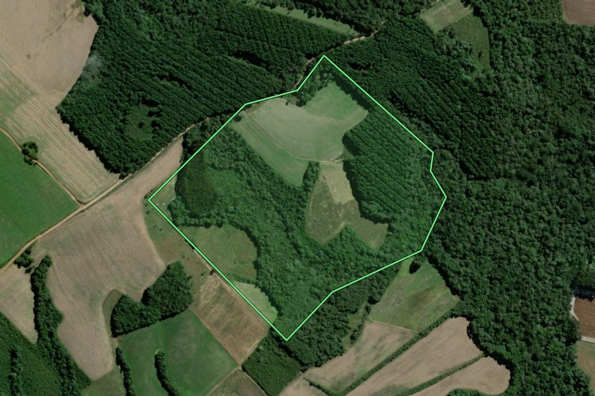 Imagem de satélite do imóvel rural em Rebouças (PR), com o contorno declarado no CAR desenhado por cima.
