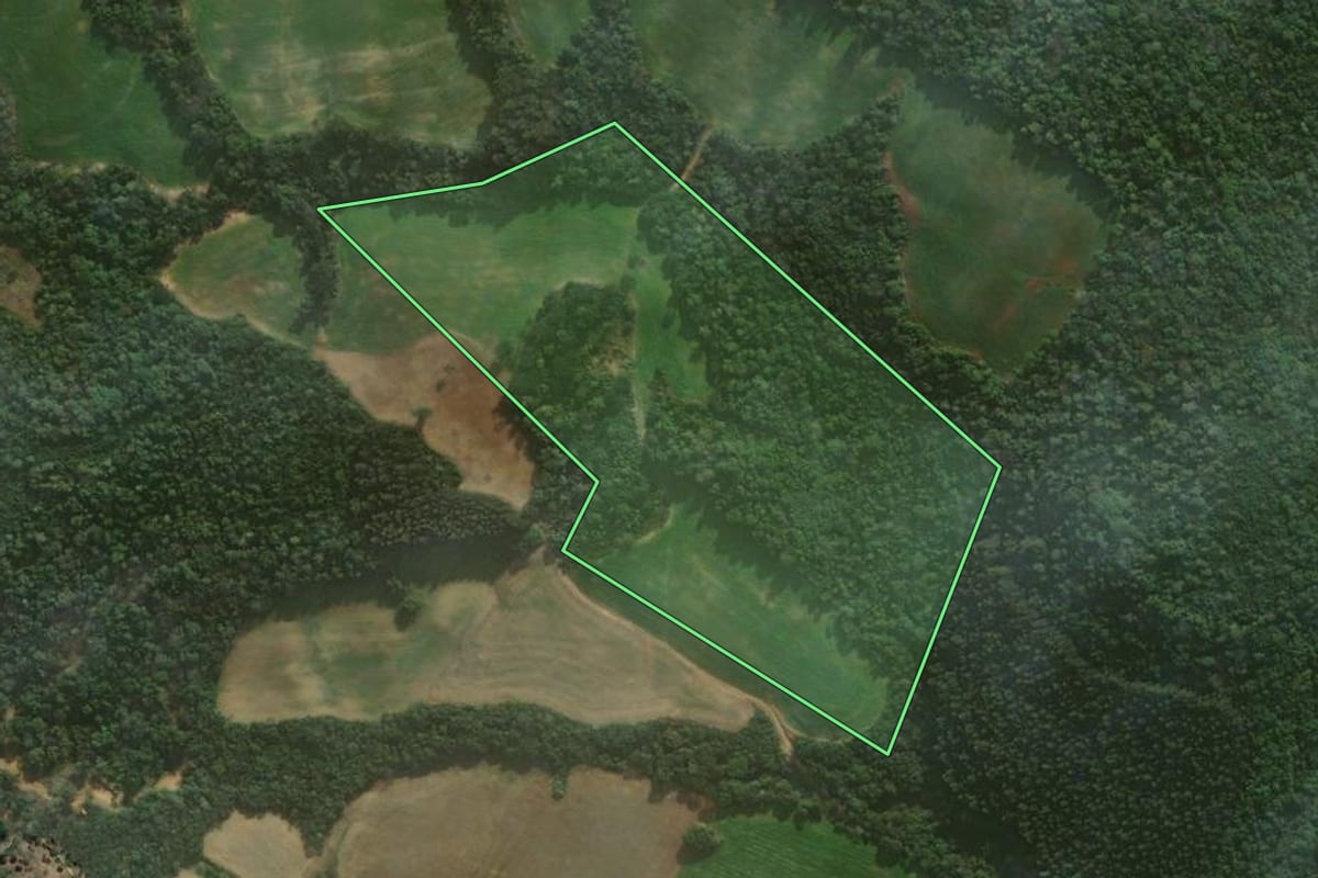 Imagem de satélite do imóvel rural em Rebouças (PR), com o contorno declarado no CAR desenhado por cima.