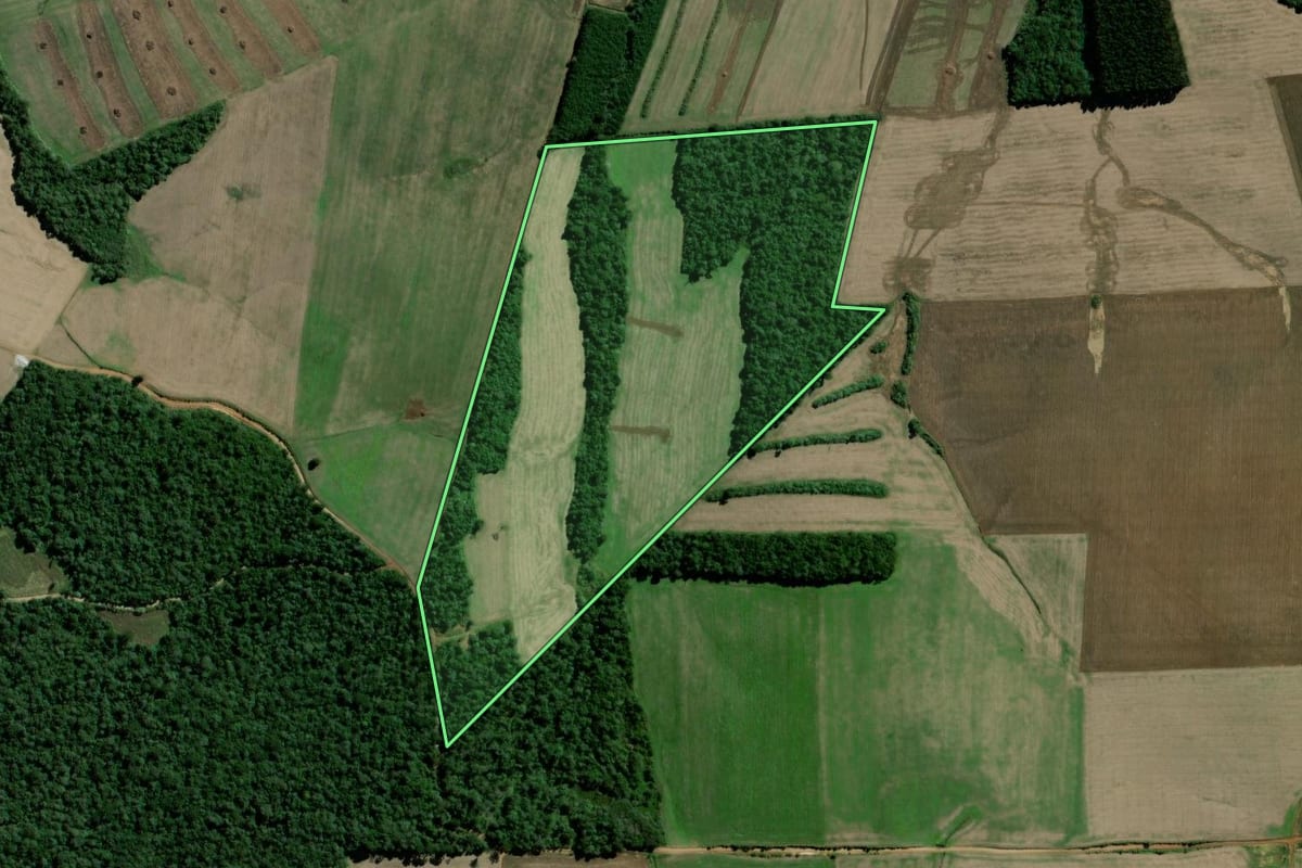Imagem de satélite do imóvel rural em Rebouças (PR), com o contorno declarado no CAR desenhado por cima.