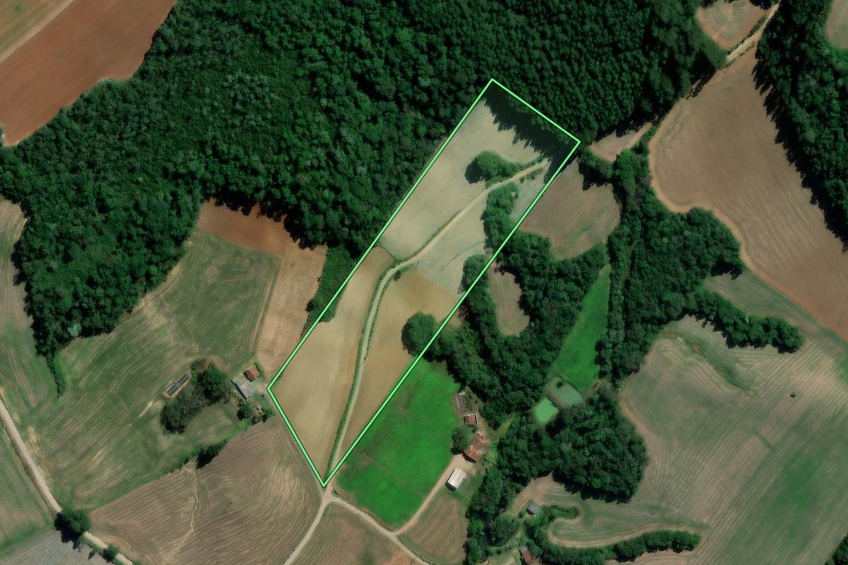 Imagem de satélite do imóvel rural em Rebouças (PR), com o contorno declarado no CAR desenhado por cima.