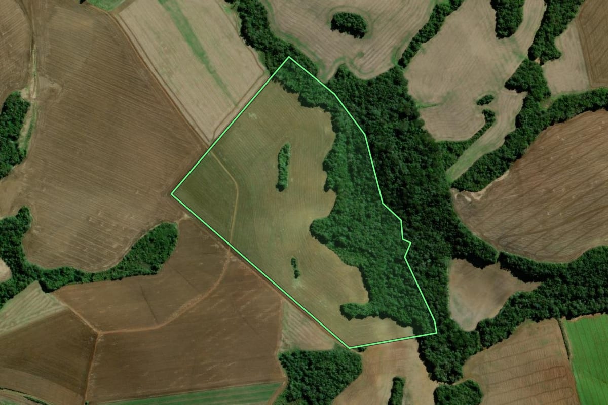 Imagem de satélite do imóvel rural em Rebouças (PR), com o contorno declarado no CAR desenhado por cima.